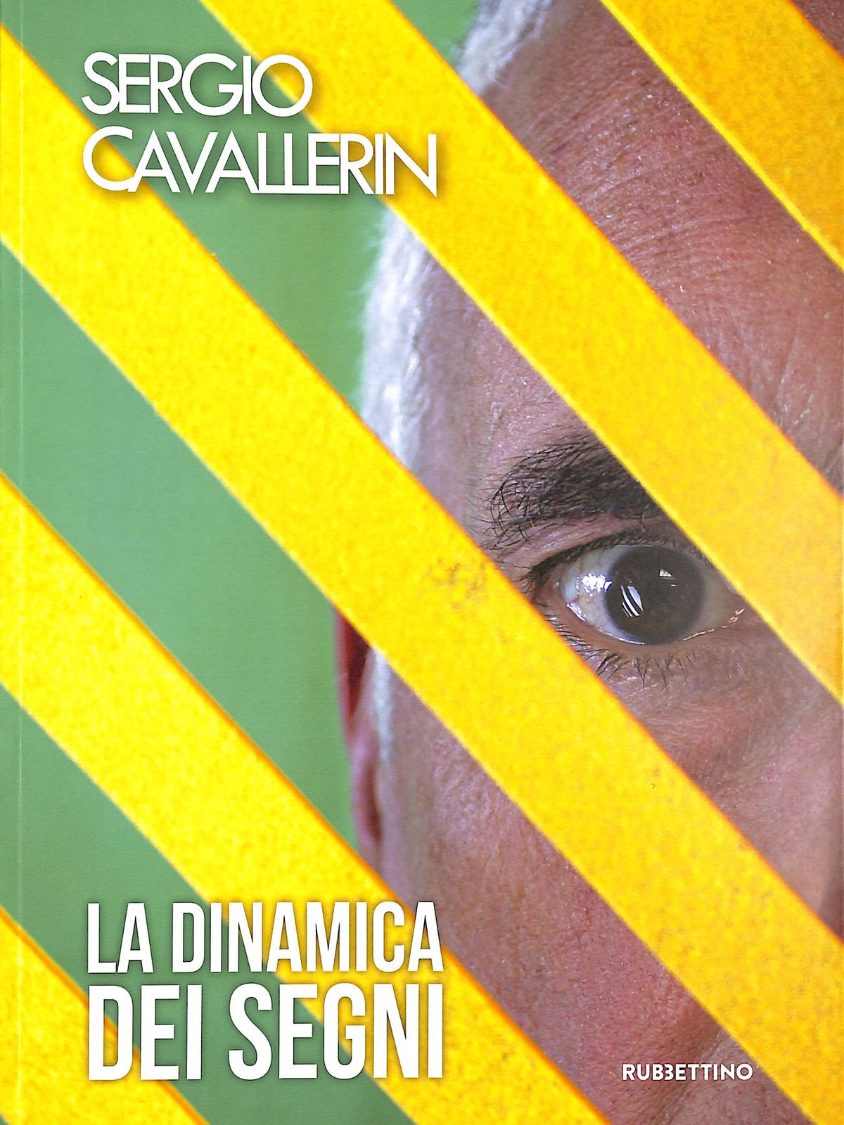La dinamica dei segni - Sergio Cavallerin