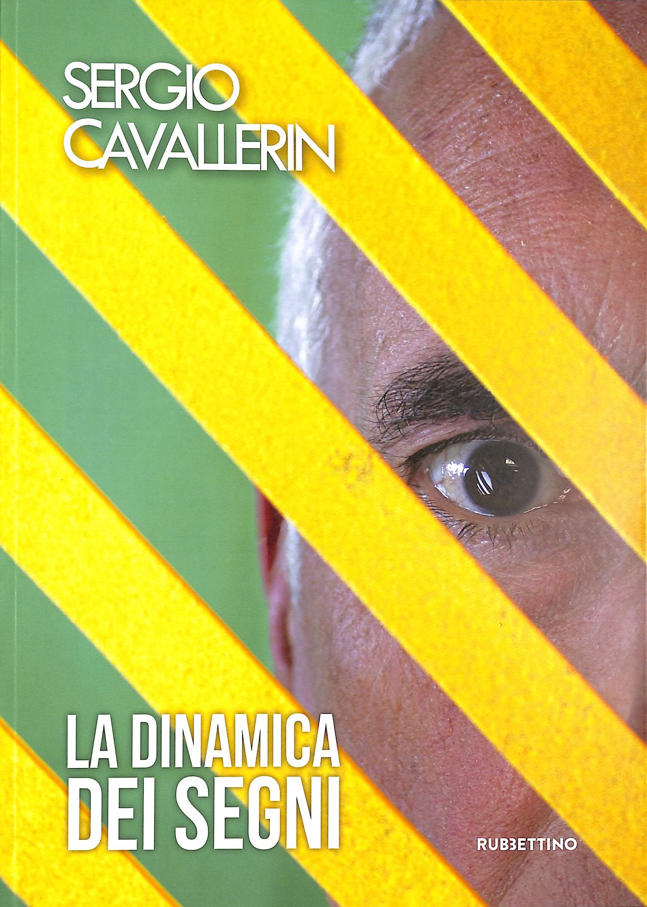 La dinamica dei segni - Sergio Cavallerin
