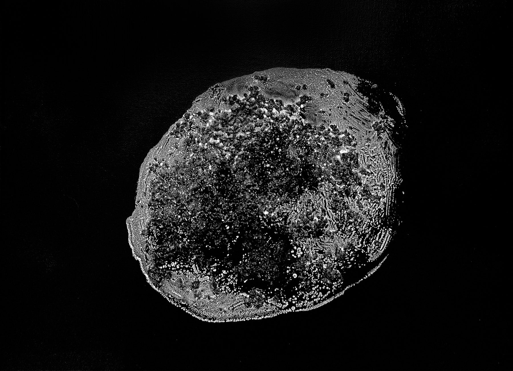 L'evoluzione della materia