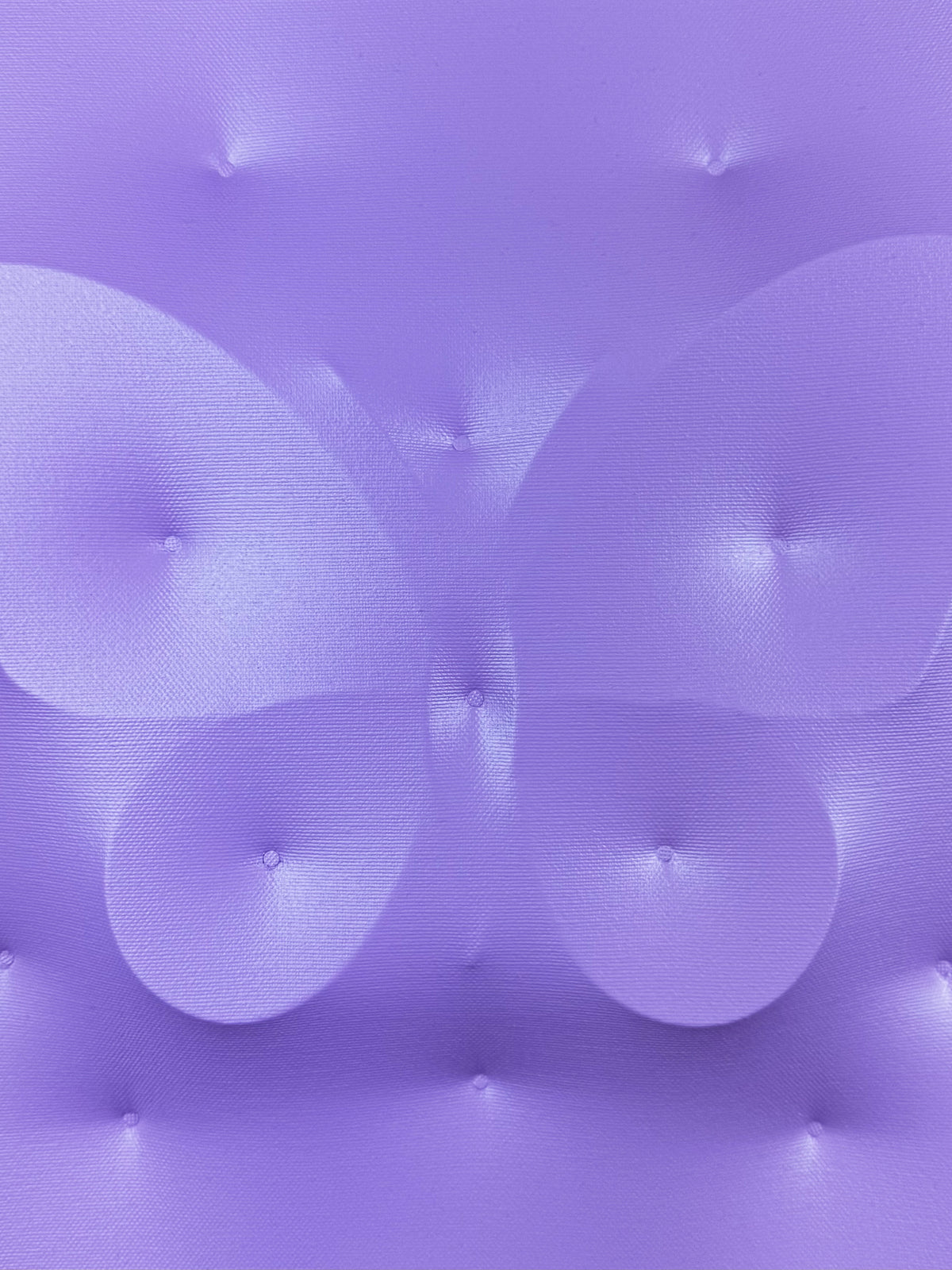 Dynamic Butterfly